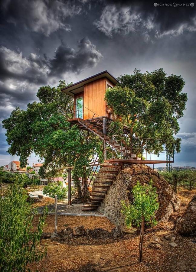Encostas Do Coa Ter -Hotel พินเญล ภายนอก รูปภาพ