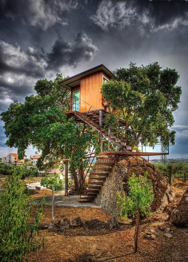Encostas Do Coa Ter -Hotel พินเญล ภายนอก รูปภาพ
